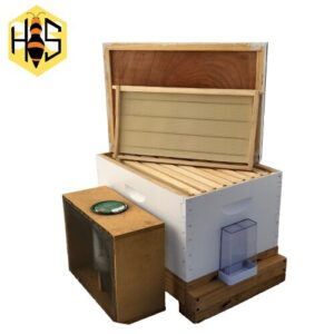 Read more about the article Beekeeping Starter Kit Australia – Easy Home Beehive Kits