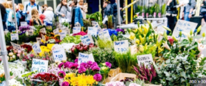 Read more about the article More Than a Bouquet: Why Searching “Flower Shop Near Me” Leads to Meaningful Moments