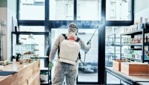 Read more about the article Pest Control Services in Lahore | Expert Pest Removal Solutions