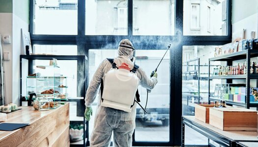You are currently viewing Pest Control Services in Lahore | Expert Pest Removal Solutions