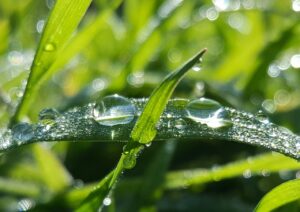 Read more about the article Dew Point Calculator | Accurate Moisture Analysis Solutions by Dew-Point