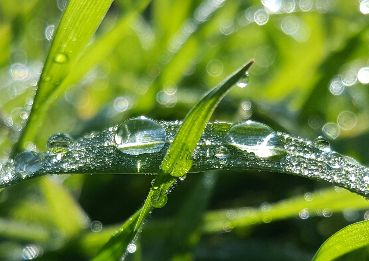 You are currently viewing Dew Point Calculator | Accurate Moisture Analysis Solutions by Dew-Point