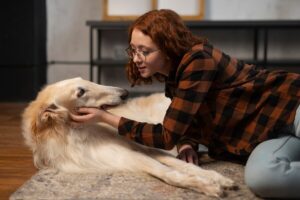 Read more about the article How Is Fenbendazole Given to Dogs?