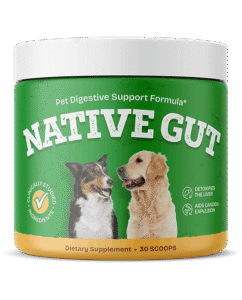 Read more about the article NativeGut Dog Probiotic Review and Guide