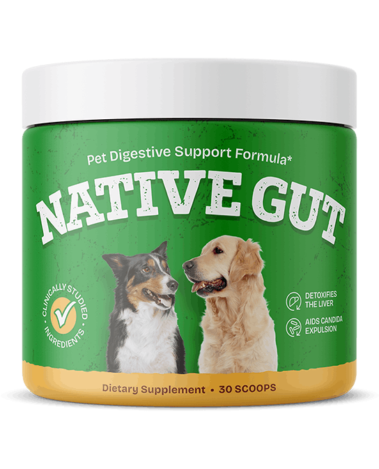 Read more about the article NativeGut Dog Probiotic Review and Guide