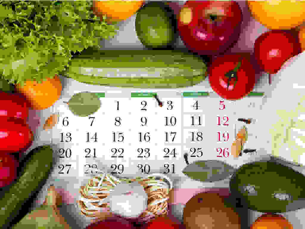 You are currently viewing Affordable meal plan singapore