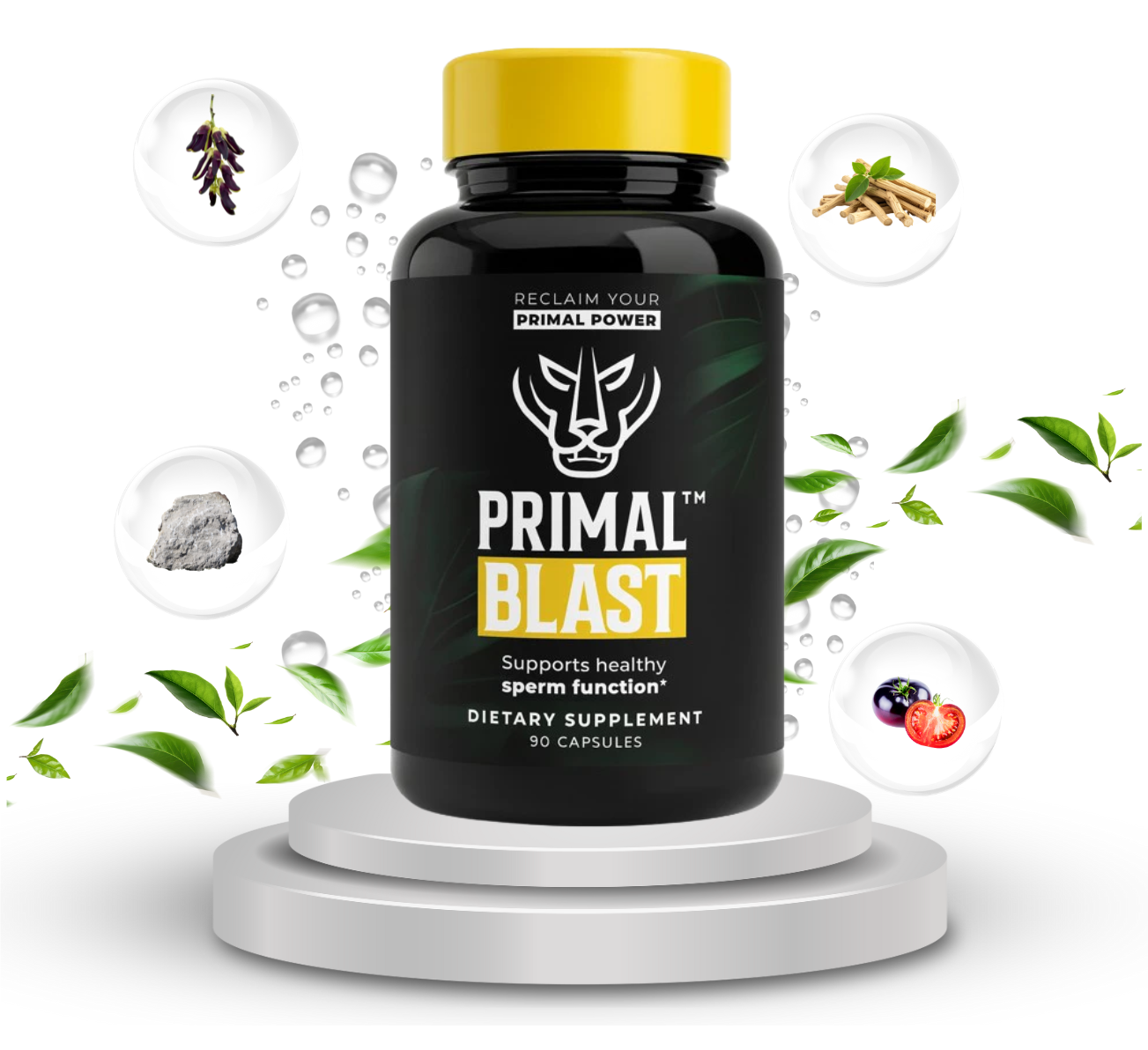 Read more about the article Primal Blast Review: Natural Male Vitality, Testosterone & Reproductive Support