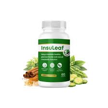 InsuLeaf Officials