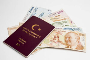 Read more about the article Why You Definitely Need Turkey Tourist Visa Assistance This Year