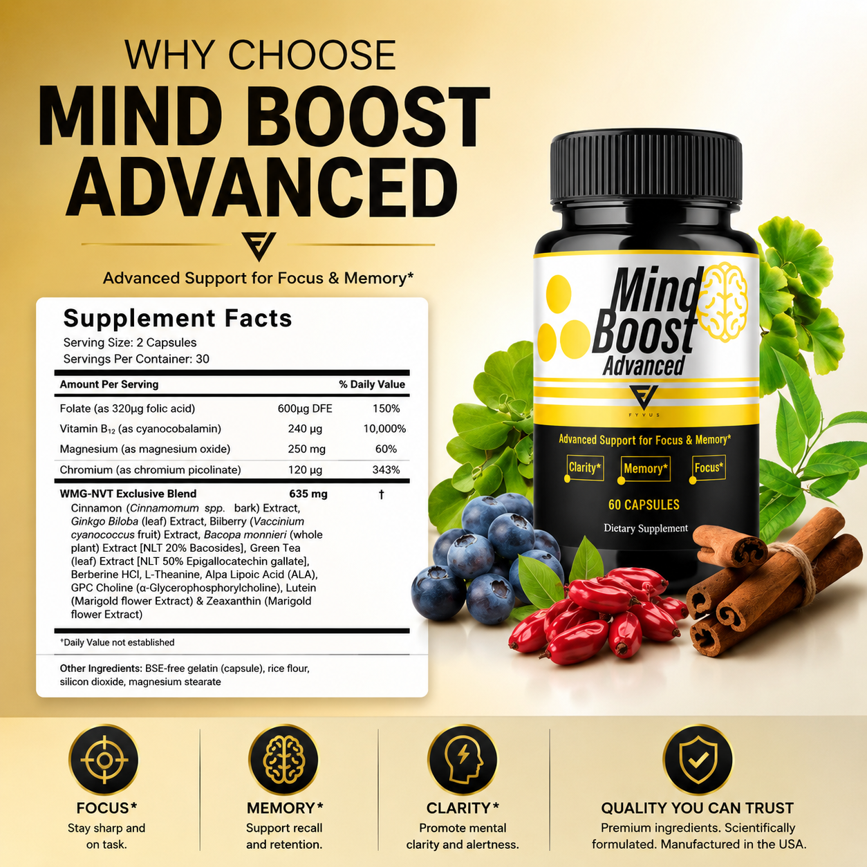 You are currently viewing MindBoost Review: Natural Brain Health Support for Memory, Focus, and Mental Clarity