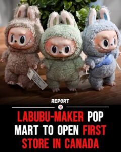 Read more about the article Labubu Canada Collectibles | Unique Art Toys for Passionate Fans