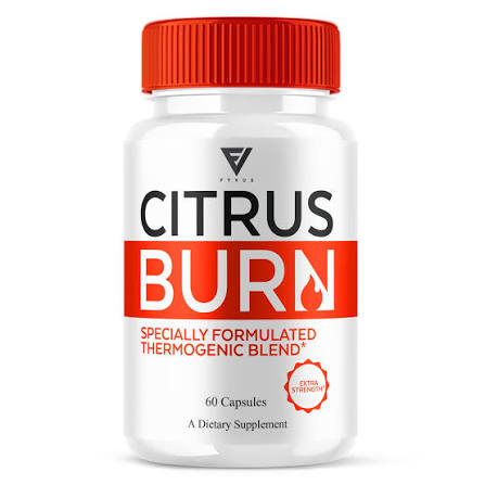 Read more about the article CitrusBurn FAQ: Common Questions Answered Clearly