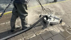 Read more about the article Roof Cleaning Experts Providing Safe, Gentle & Effective Cleaning