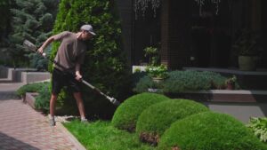 Read more about the article How Professional Lawn Dethatching Keeps Darwin Properties Looking Their Best