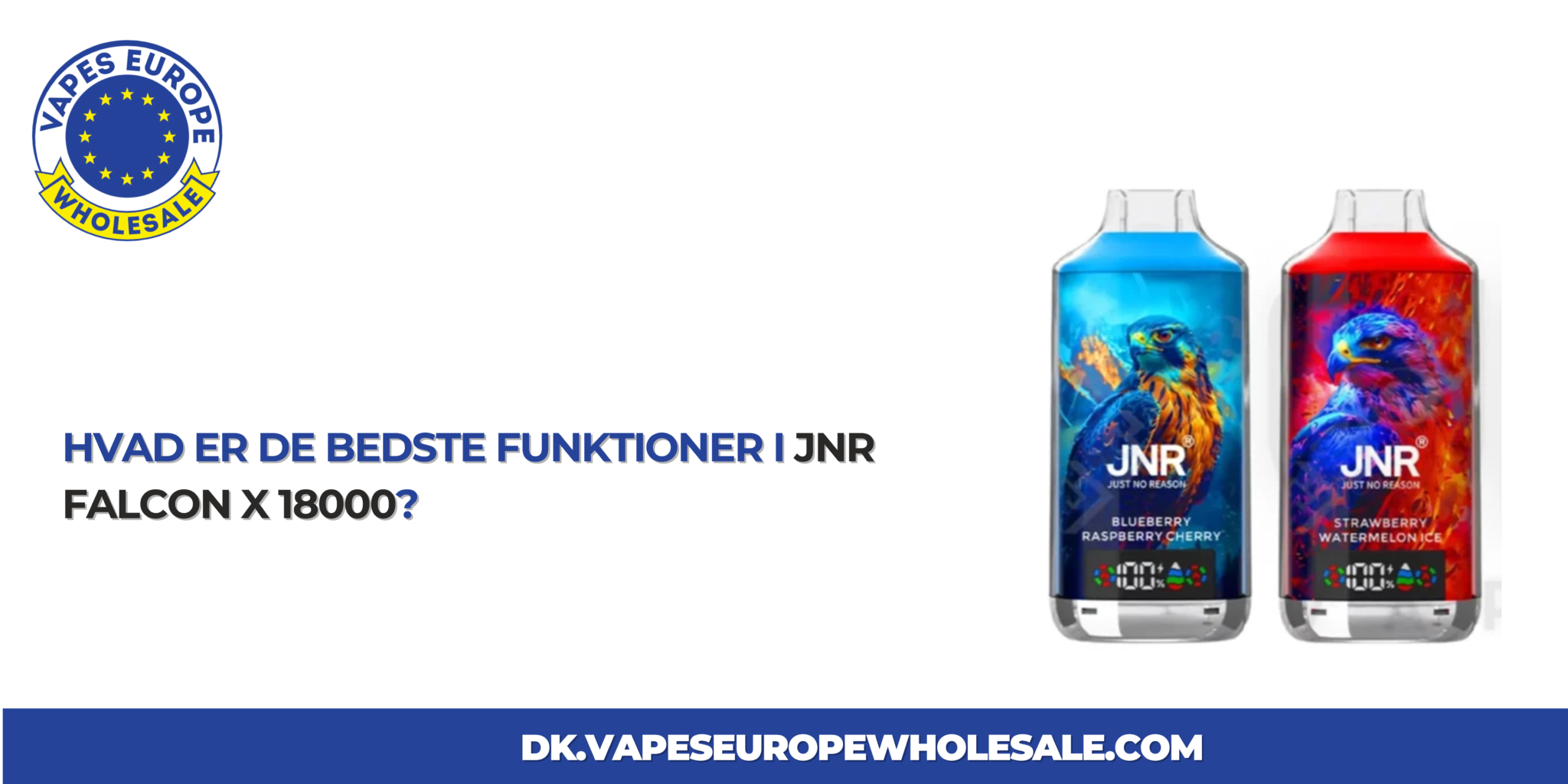 Read more about the article Hvad er de bedste funktioner i JNR Falcon X 18000?