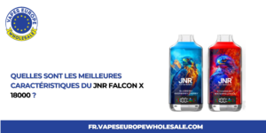 Read more about the article Quelles sont les meilleures caractéristiques du JNR Falcon X 18000 ?
