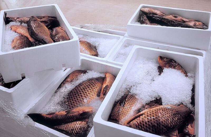 Read more about the article Seafood Delivery: How to Choose Fresh, Safe, and High-Quality Seafood