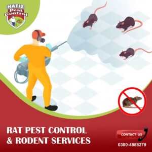 Read more about the article Pest Control: Complete Guide to Pest Control Lahore Services